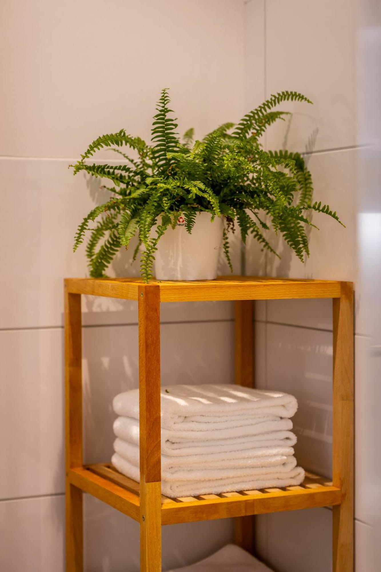Renatas Ferienwohnung Wohnung David Sasbachwalden Extérieur photo